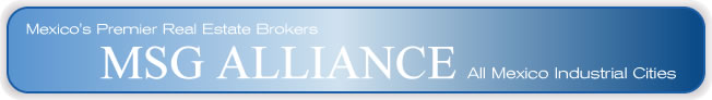 MSG Alliance